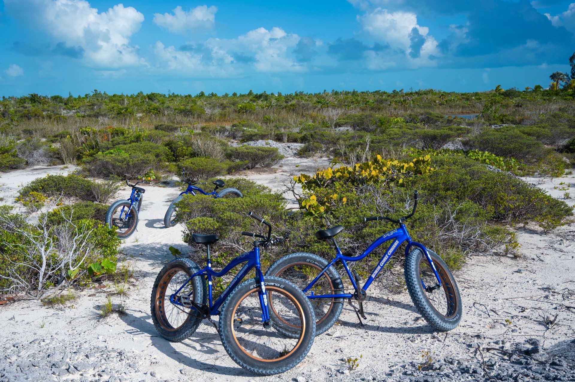 Pine Cay