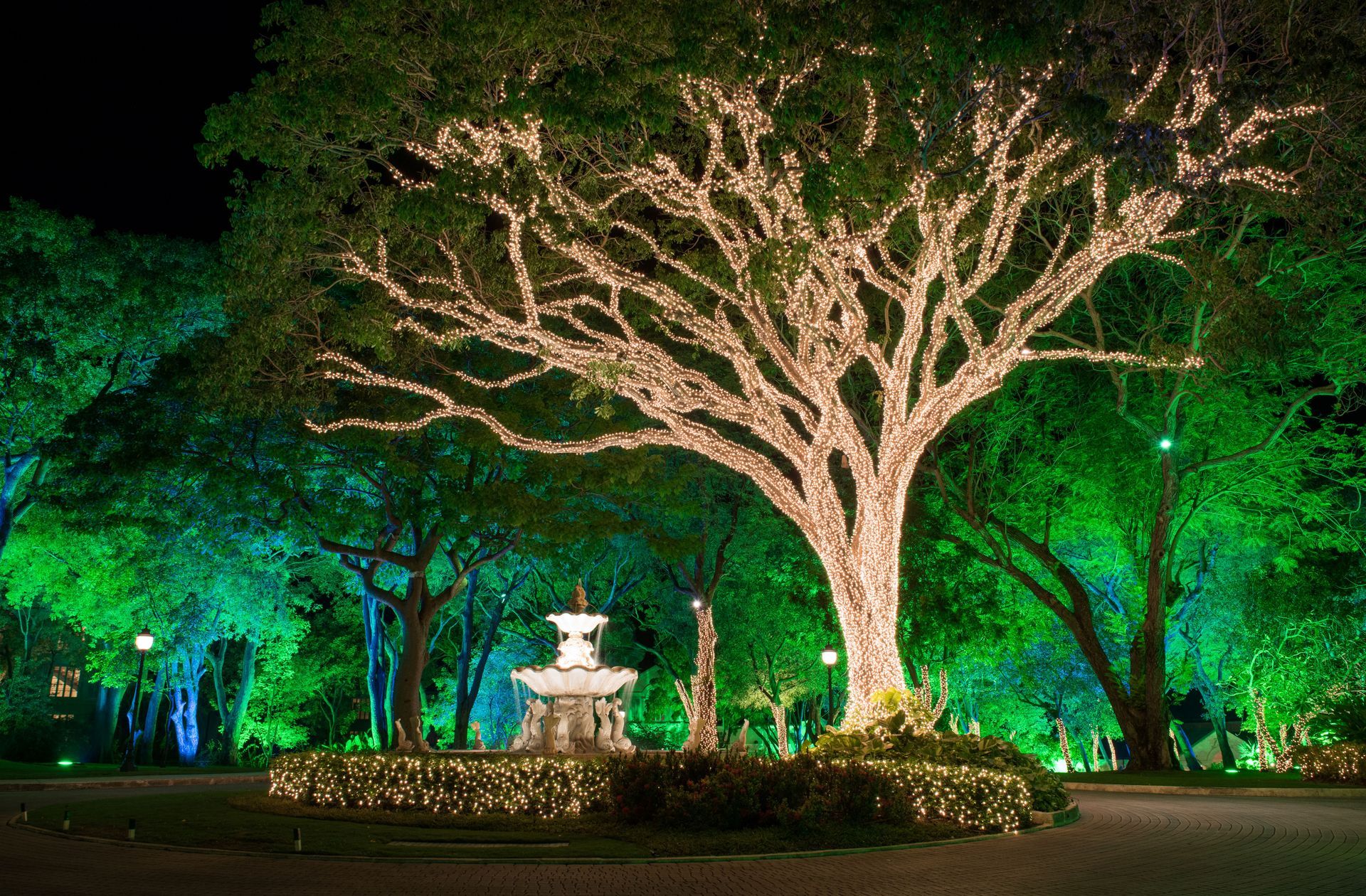 Sandy Lane