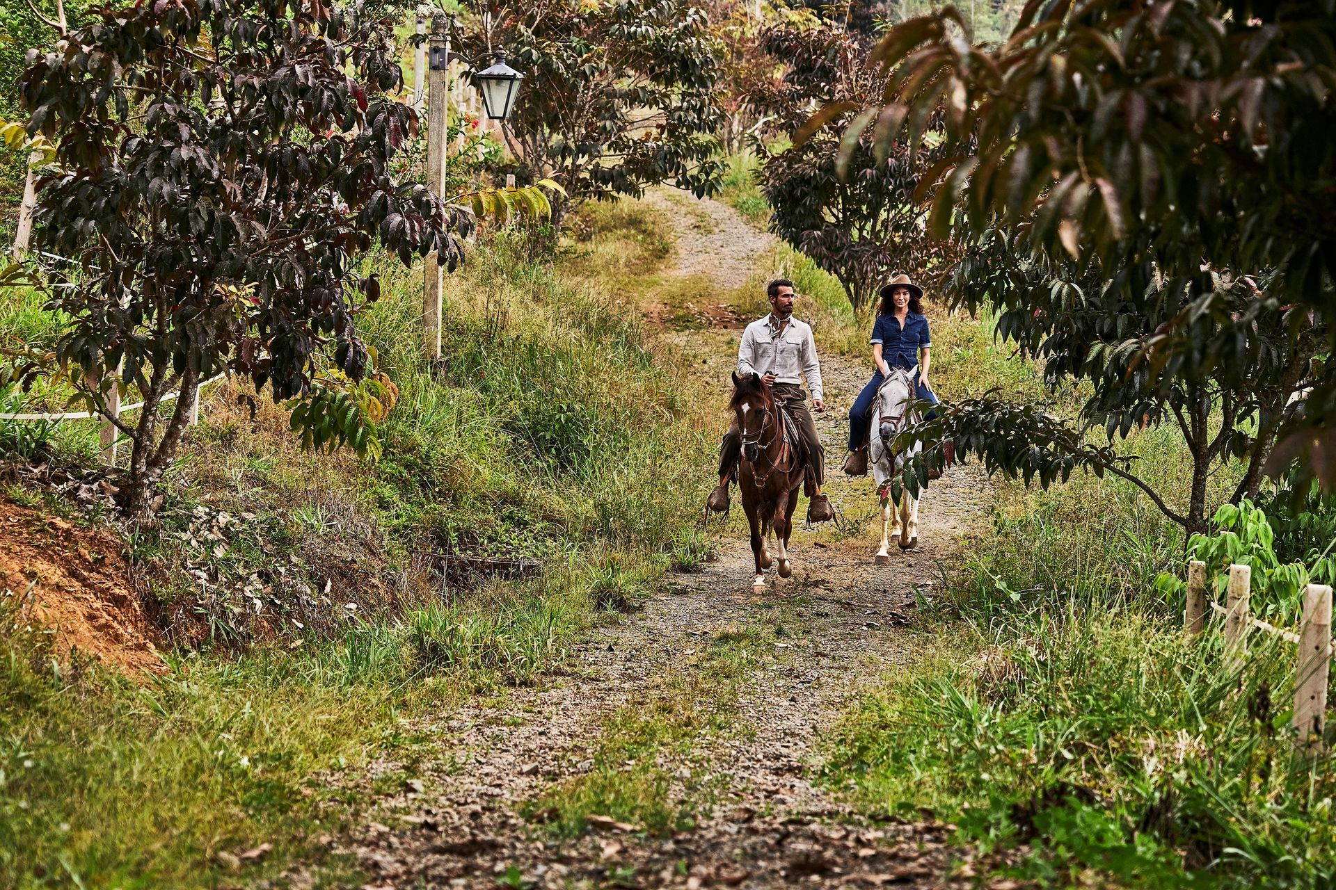 Hacienda AltaGracia