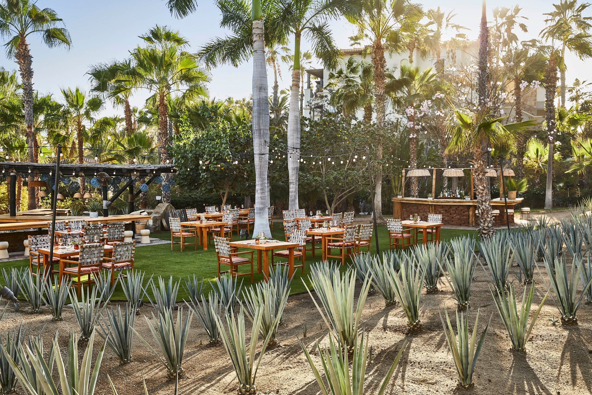 Esperanza, an Auberge Resort Restaurant