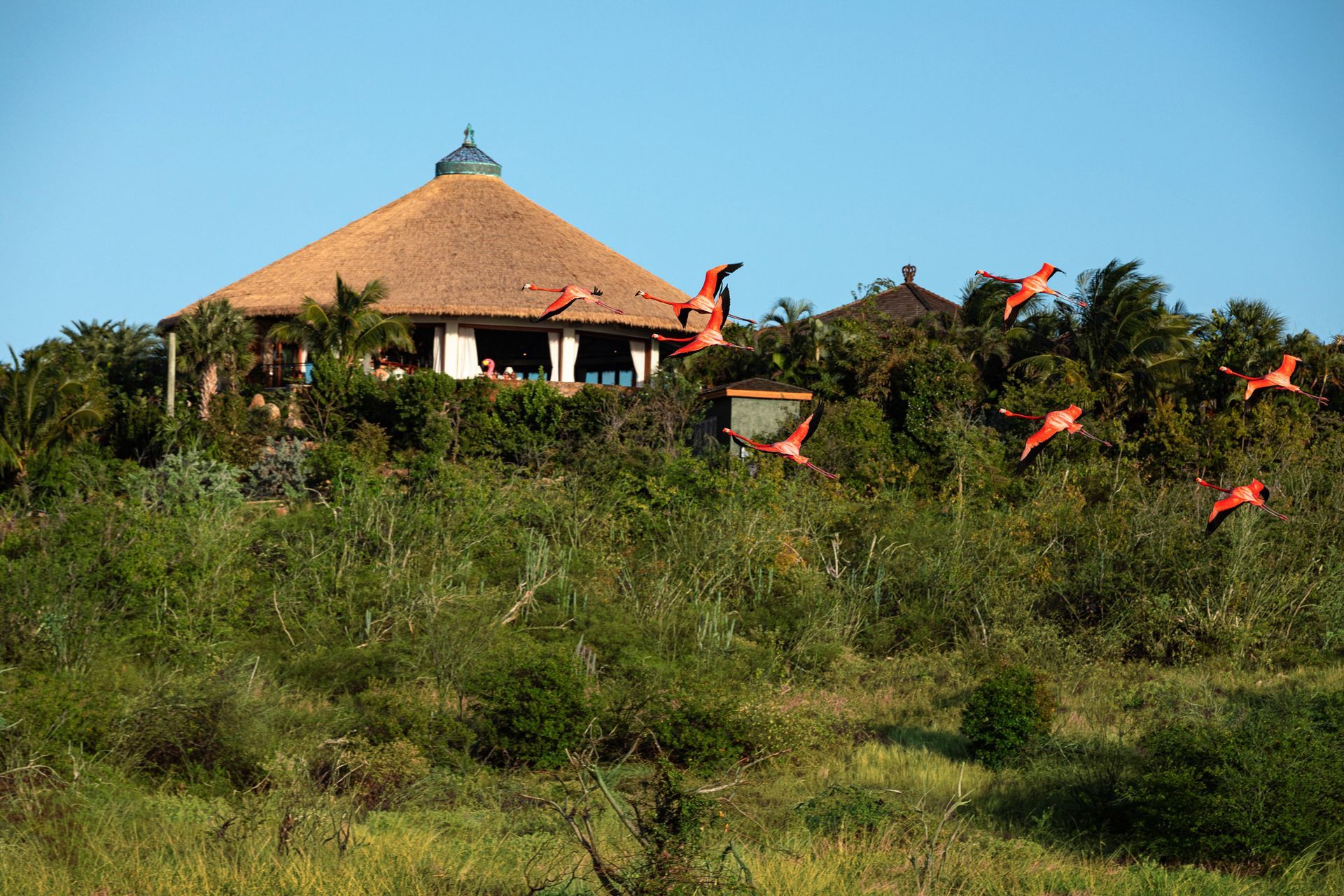 Necker Island
