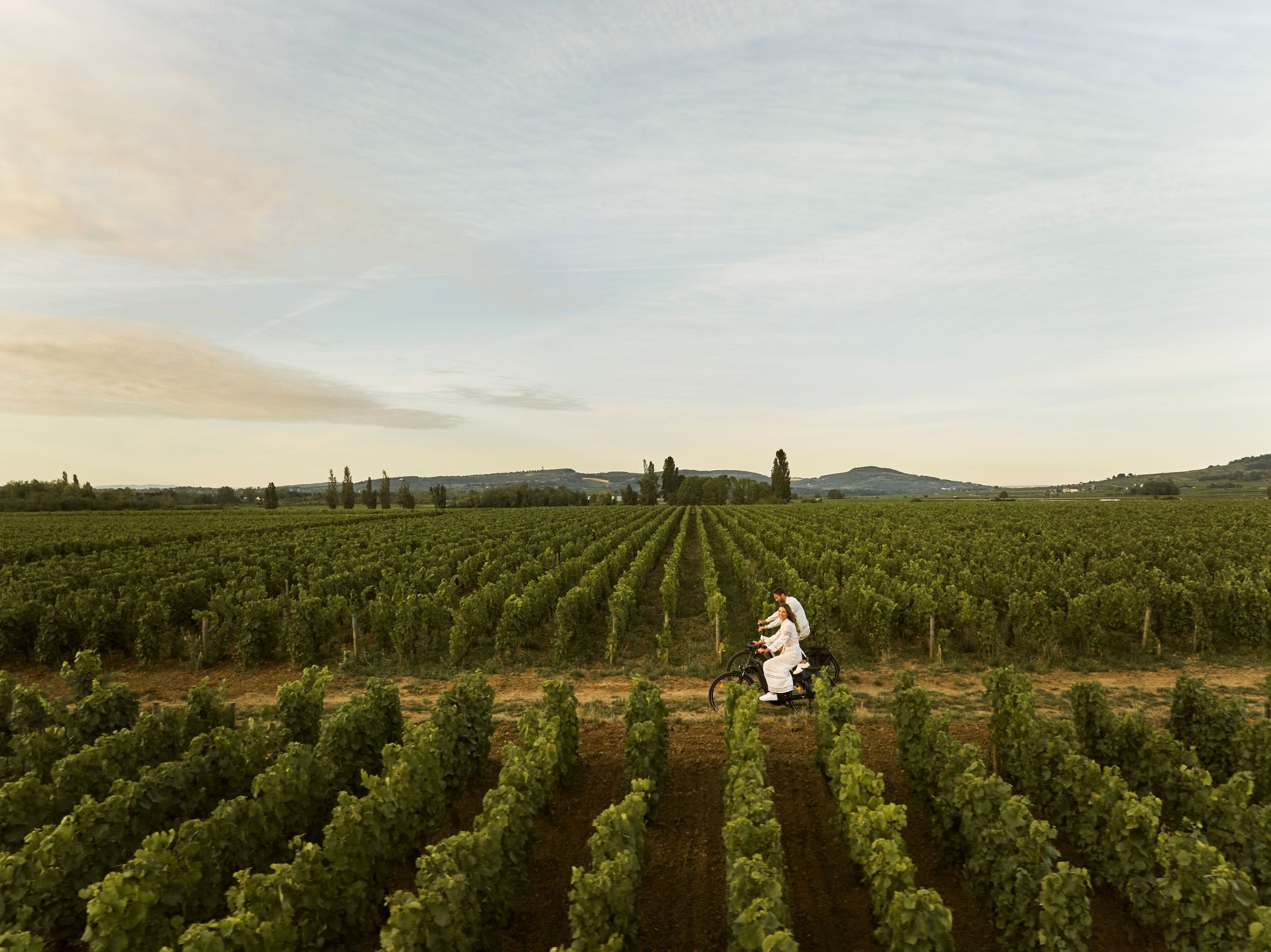 COMO Le Montrachet Experience
