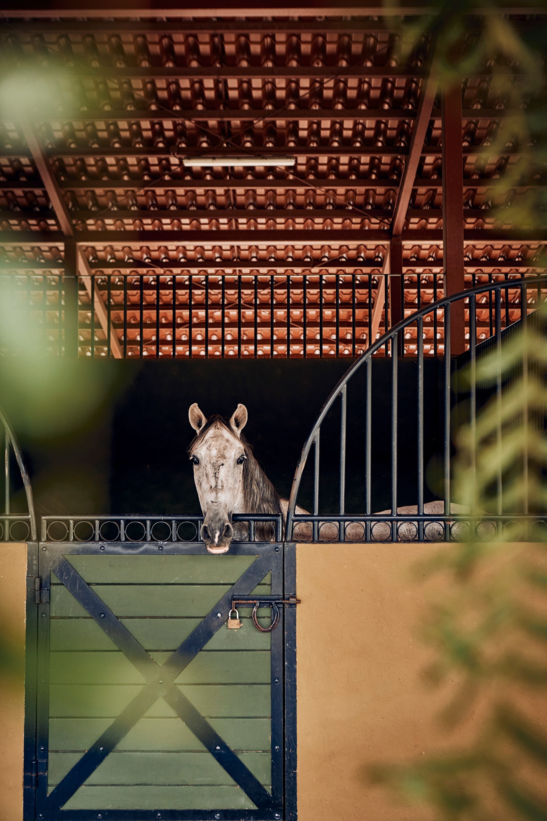 Hacienda AltaGracia