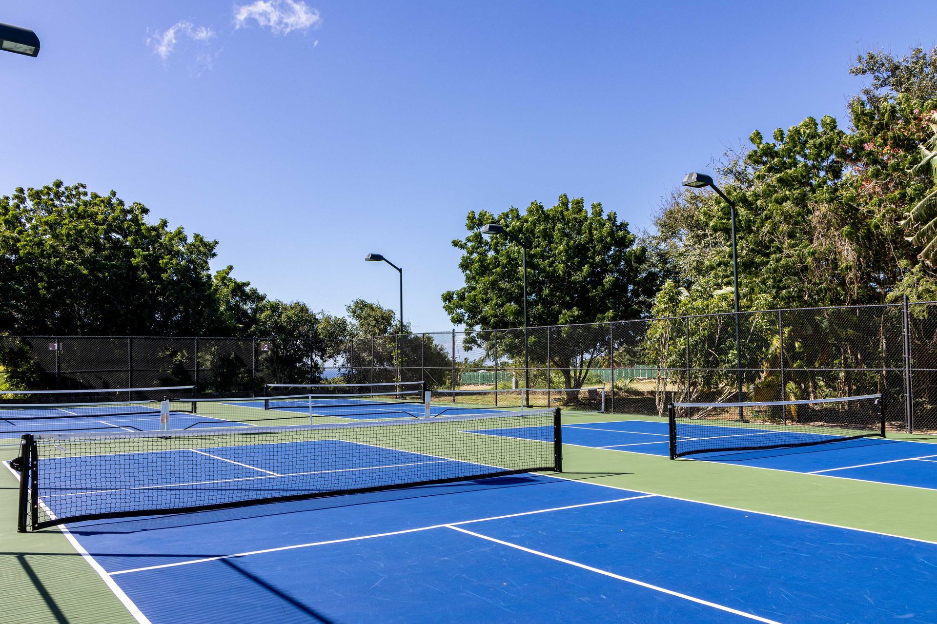Casa de Campo Pickleball 