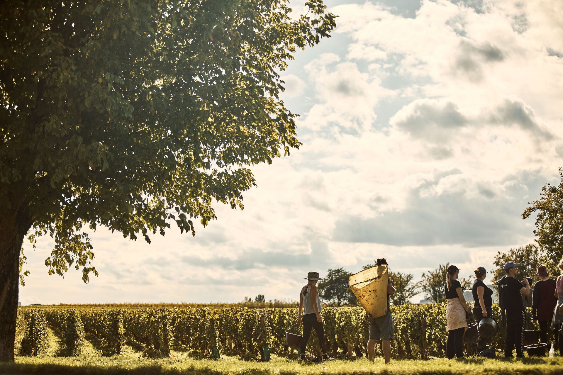 COMO Le Montrachet Experience