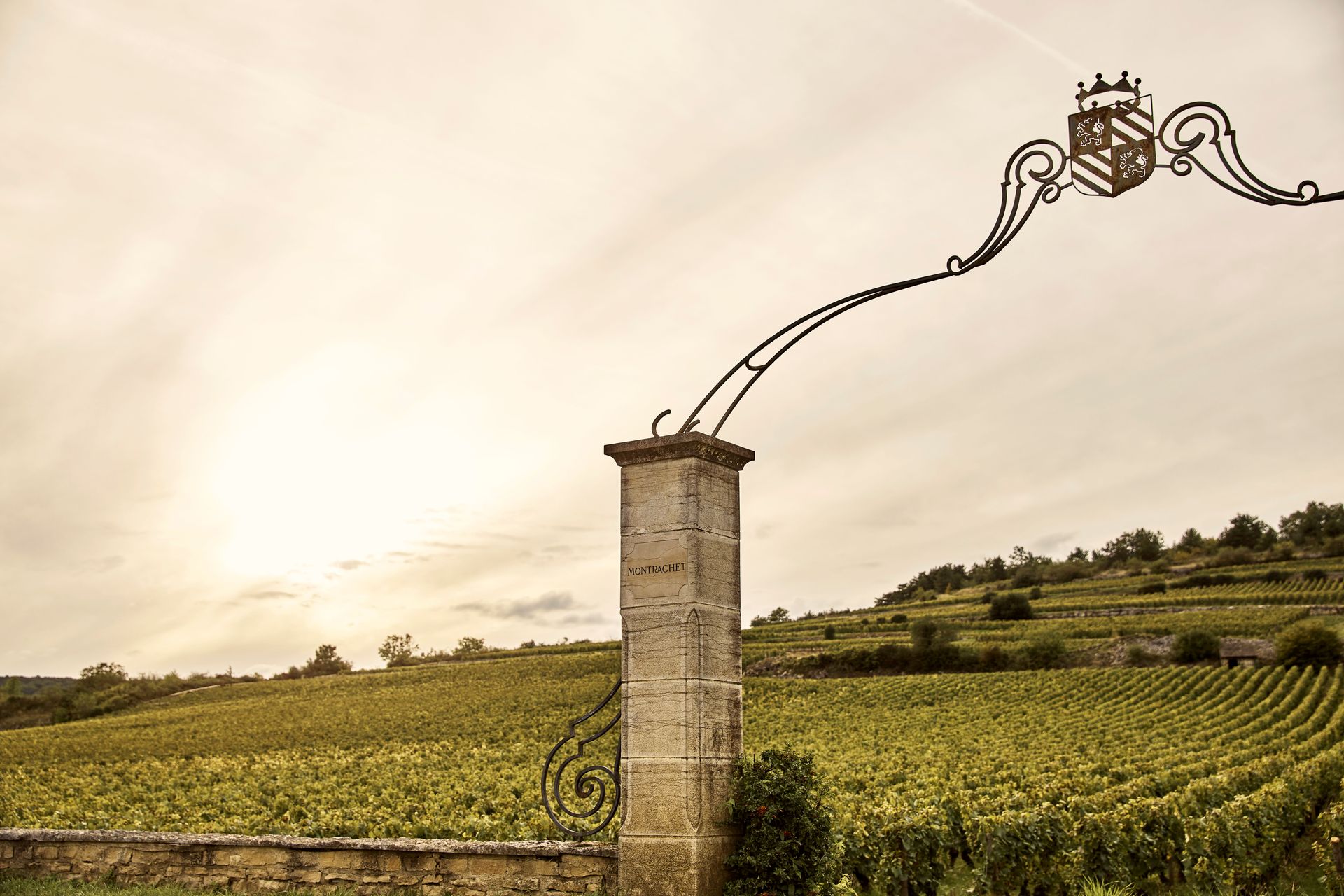 COMO Le Montrachet Experience