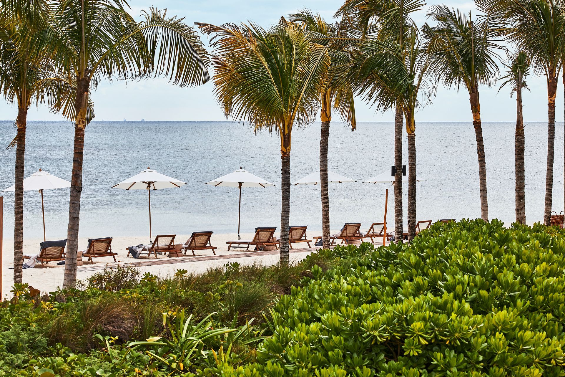 Etereo, an Auberge Resort 