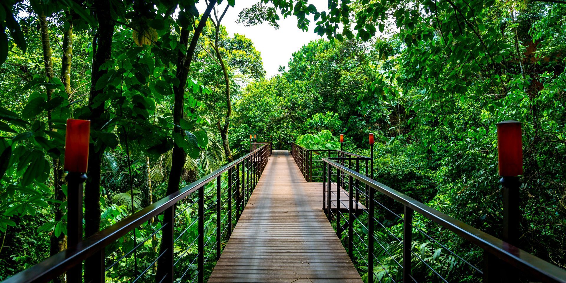 Nayara Springs