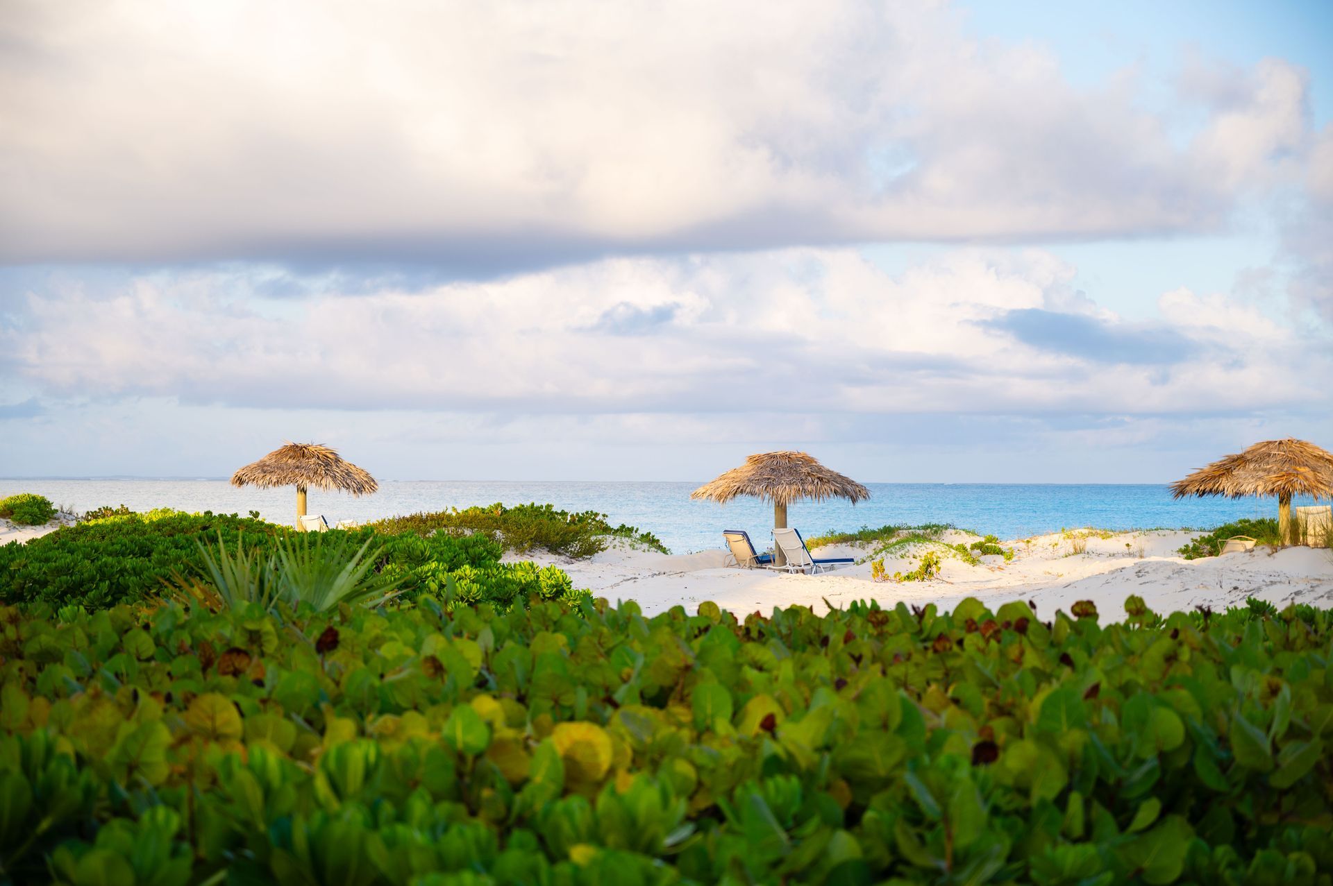 Pine Cay