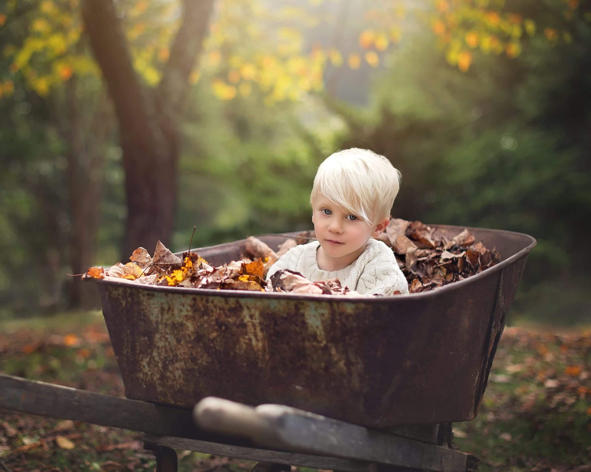 Blond child sits in a rusty wheelbarrow filled with fall leaves in a wooded area.