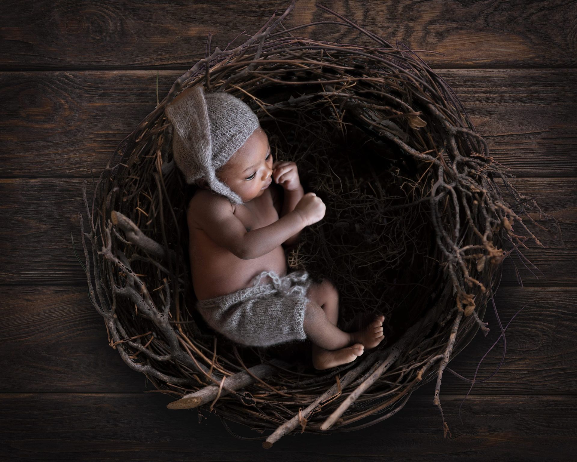 Newborn baby in knit cap and shorts, curled up in a twig nest on wooden planks.