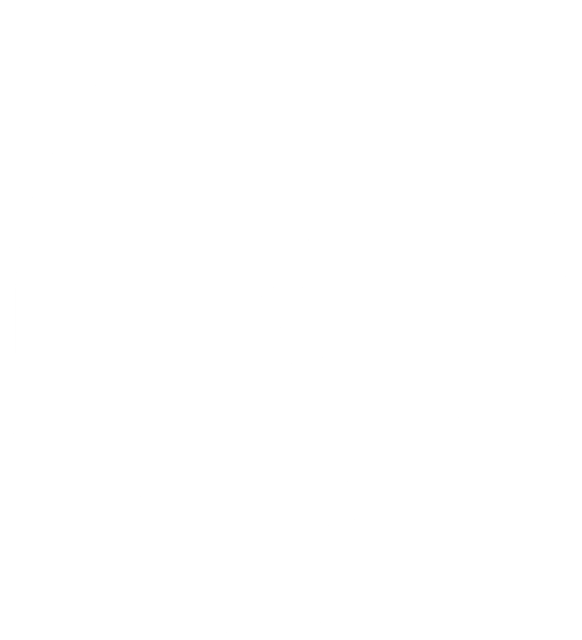 白色背景。