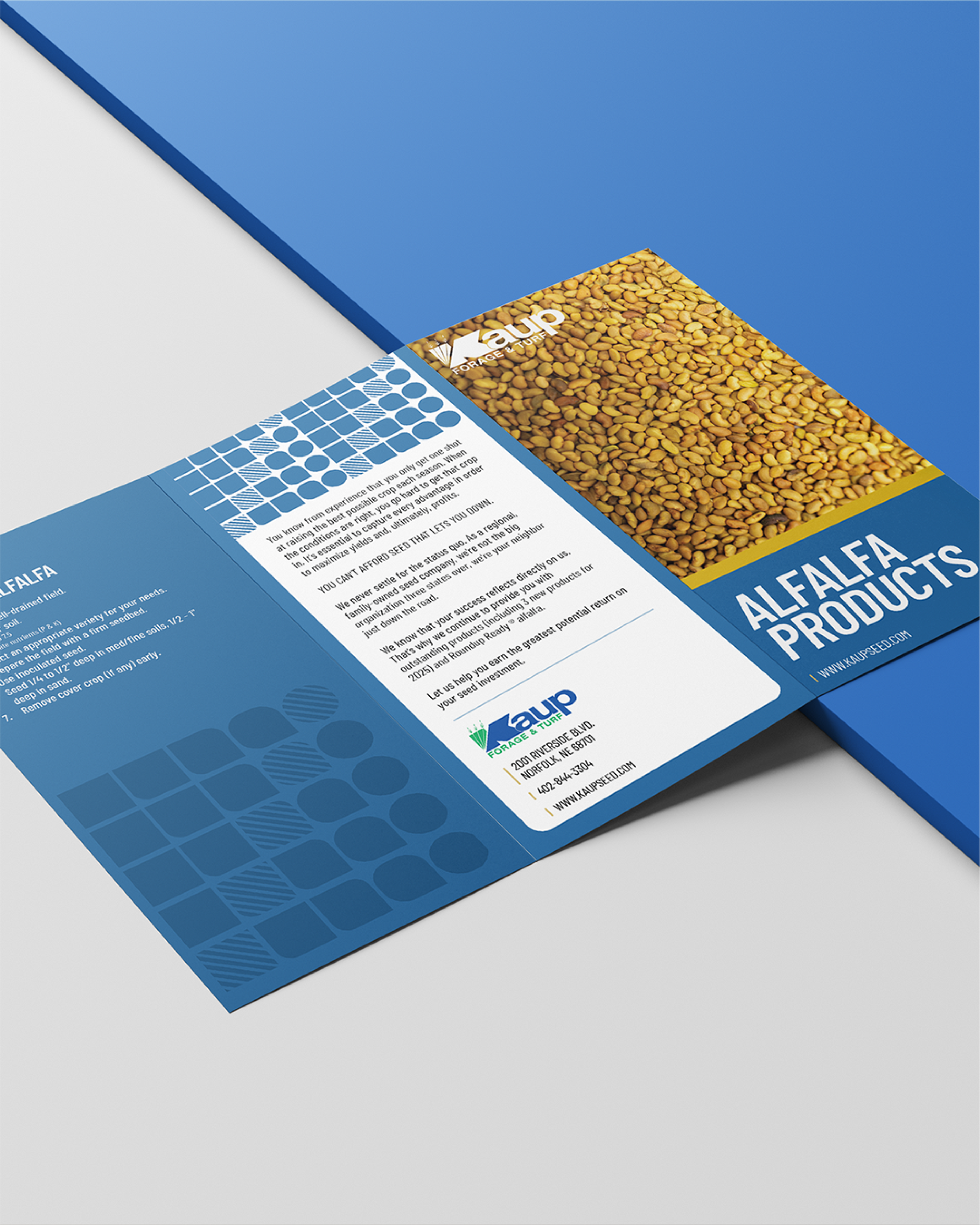 Brochure advertising alfalfa products, featuring text and a photo of alfalfa against a blue background.