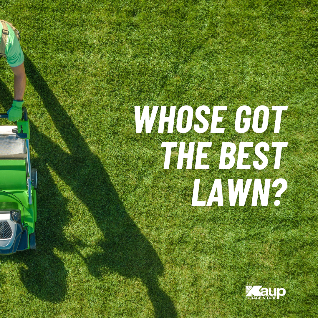 Person mowing a lush green lawn, shadow cast over grass. Text: