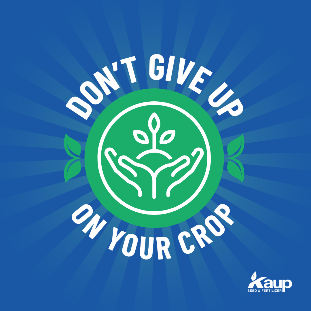 White hands cupping a growing plant in a green circle. Text: