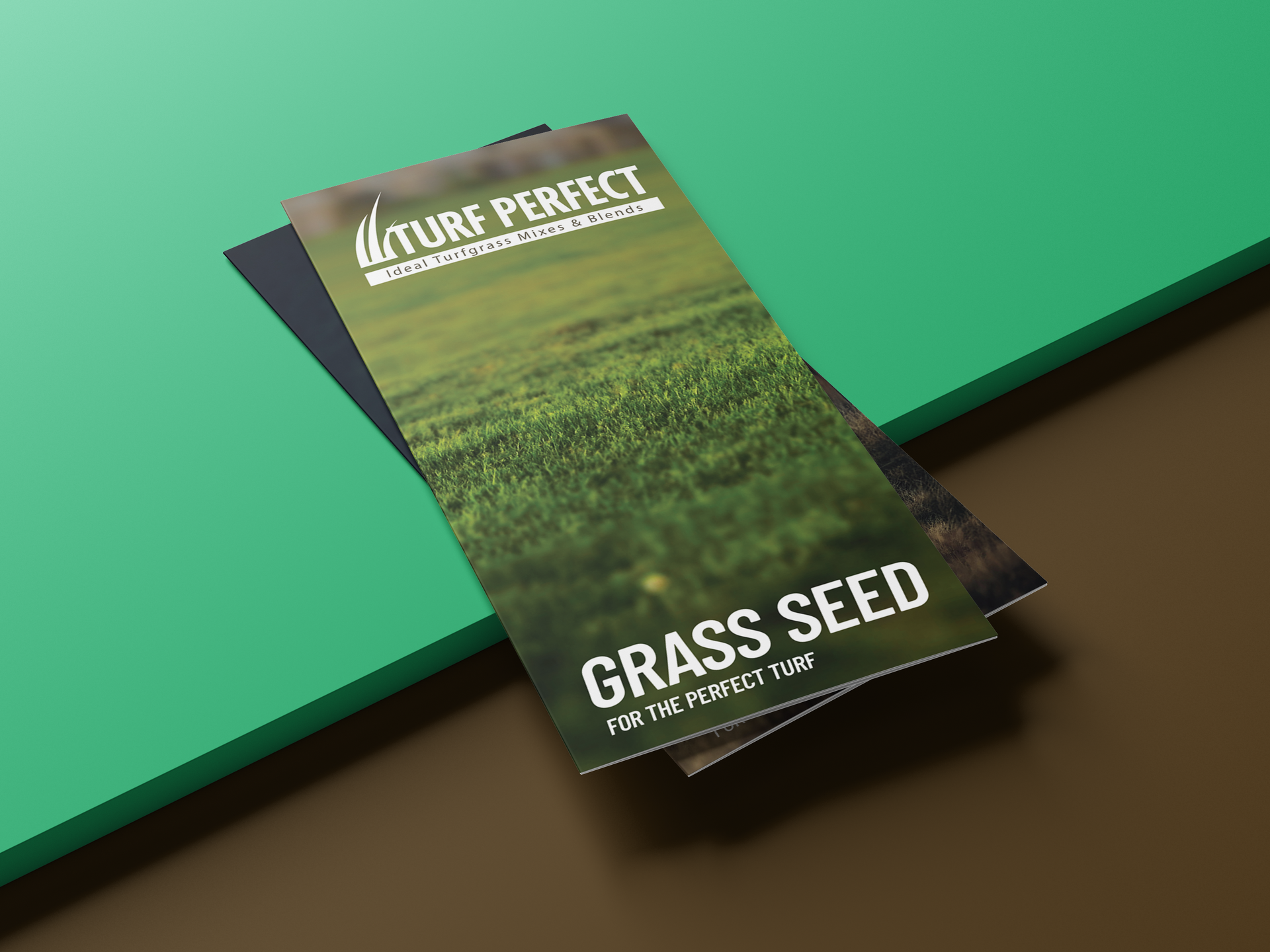Brochure of