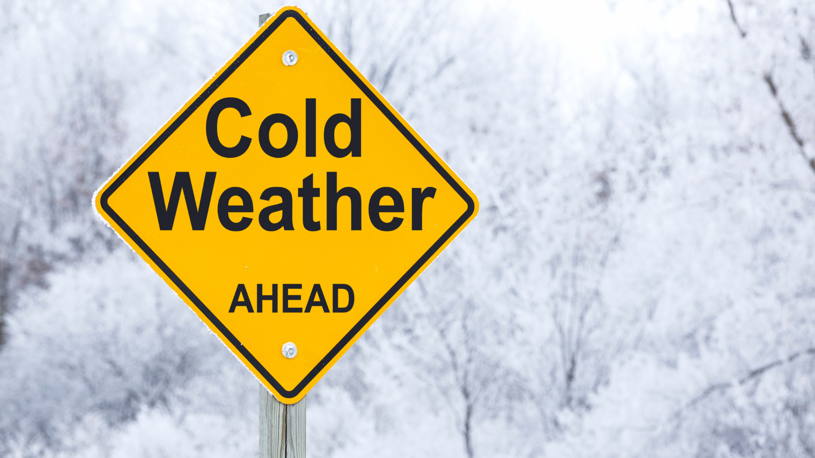 Picture of a thermometer showing cold temperatures