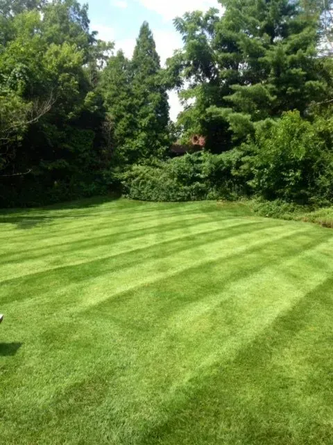 Lawn Design – Cincinnati, OH - Vater's Lawn Care & Landscape Services LLC