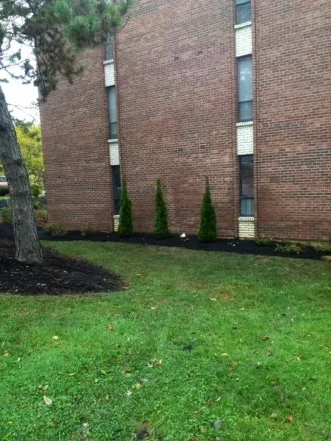 Lawn Idea – Cincinnati, OH - Vater's Lawn Care & Landscape Services LLC