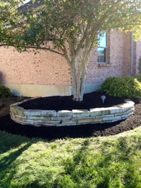 Tree – Cincinnati, OH - Vater's Lawn Care & Landscape Services LLC