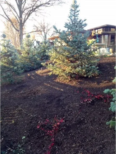Big Landscape – Cincinnati, OH - Vater's Lawn Care & Landscape Services LLC