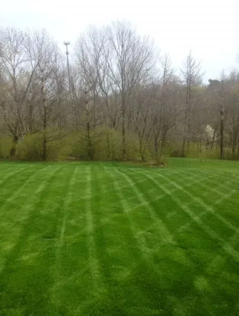 New Front Yard – Cincinnati, OH - Vater's Lawn Care & Landscape Services LLC