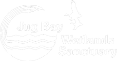 White logo reading “Challenge” with stylized waves and smaller text “Sandcastles” below.