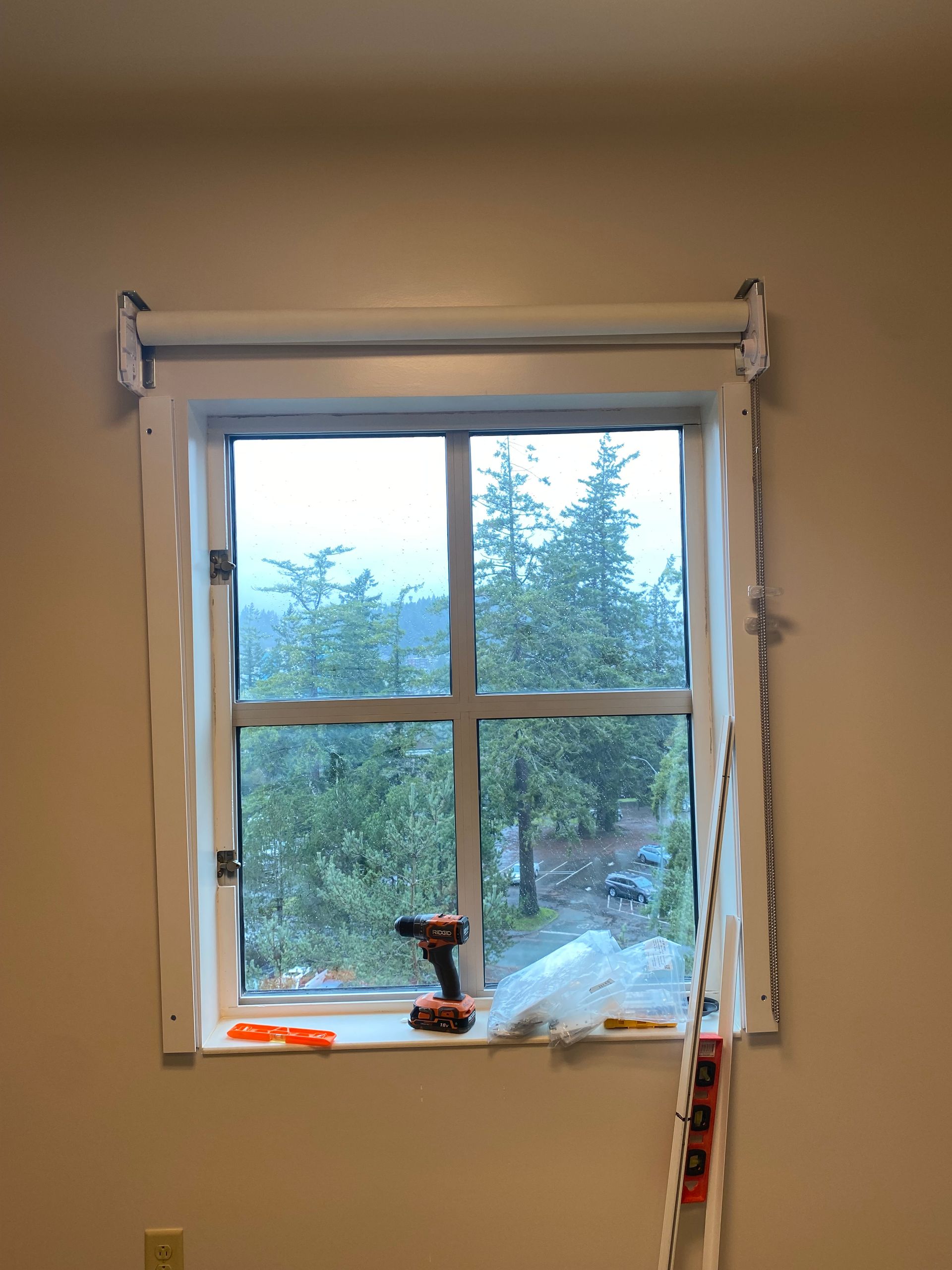 Small window with a white blind valance, looking out onto trees and overcast sky.