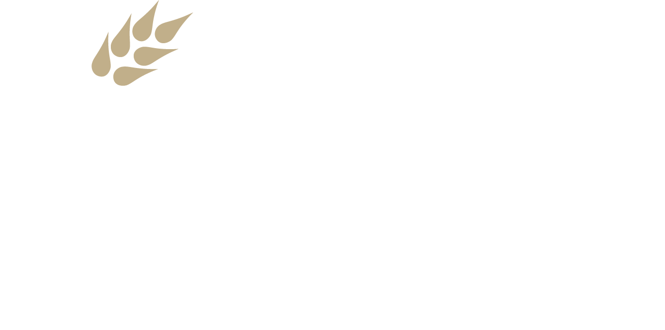 Kansas Insurance Logo