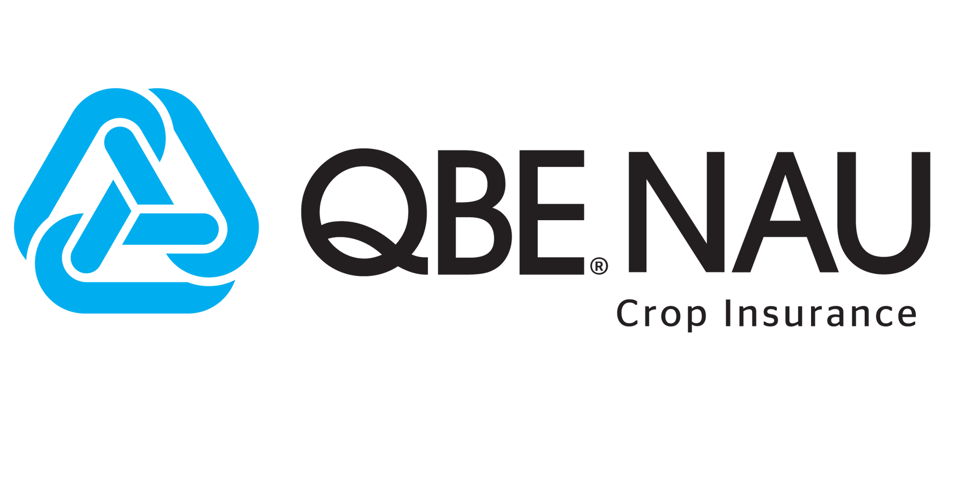 the logo for qbe nau crop insurance is blue and black .