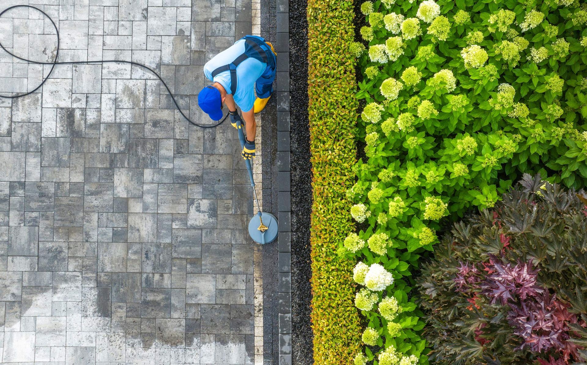 A worker in blue scrubs power washes a brick walkway next to a vibrant green and purple flower garden.