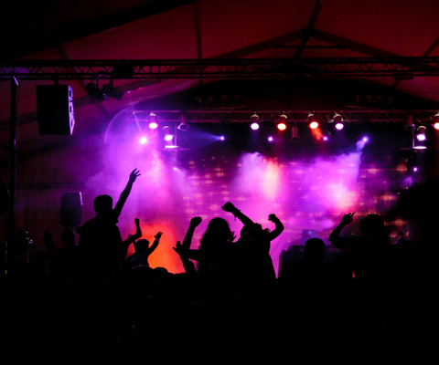 Crowd silhouettes at a concert with raised hands under purple and pink stage lights