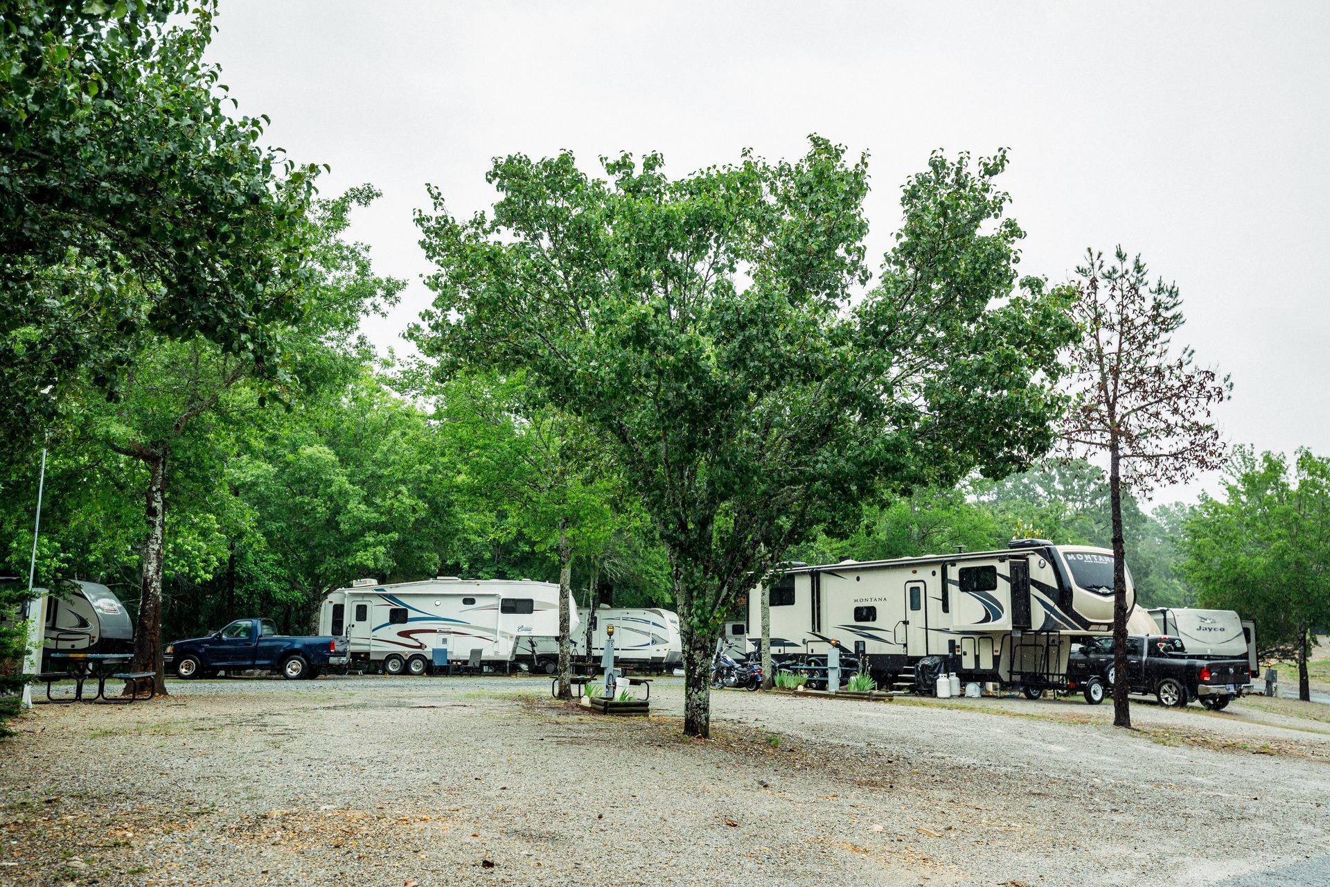 RVs and trucks parked among trees at a gravel campground