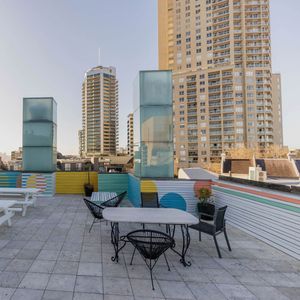 the social hotel rooftop day