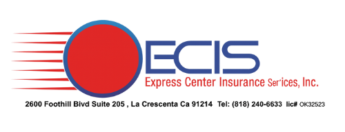 Logo for Express Center Insurance Services, Inc. Features 