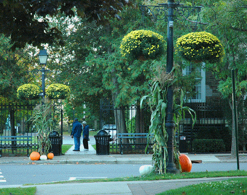 A couple walking down a street with pumpkins and flowers