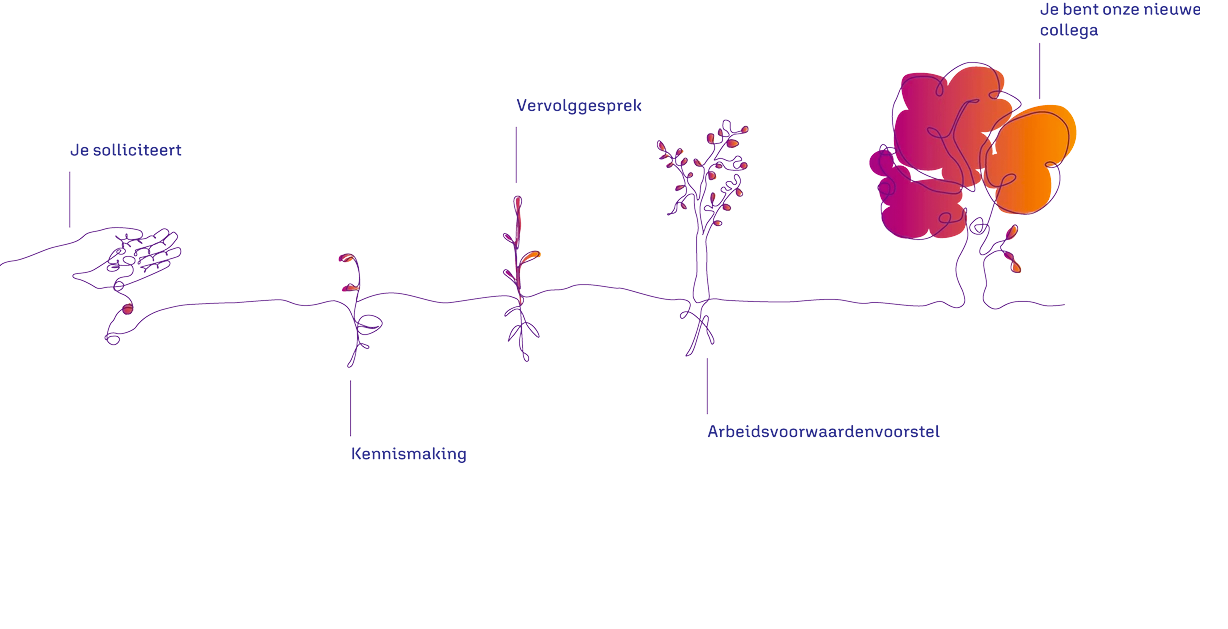 Sollicitatie proces