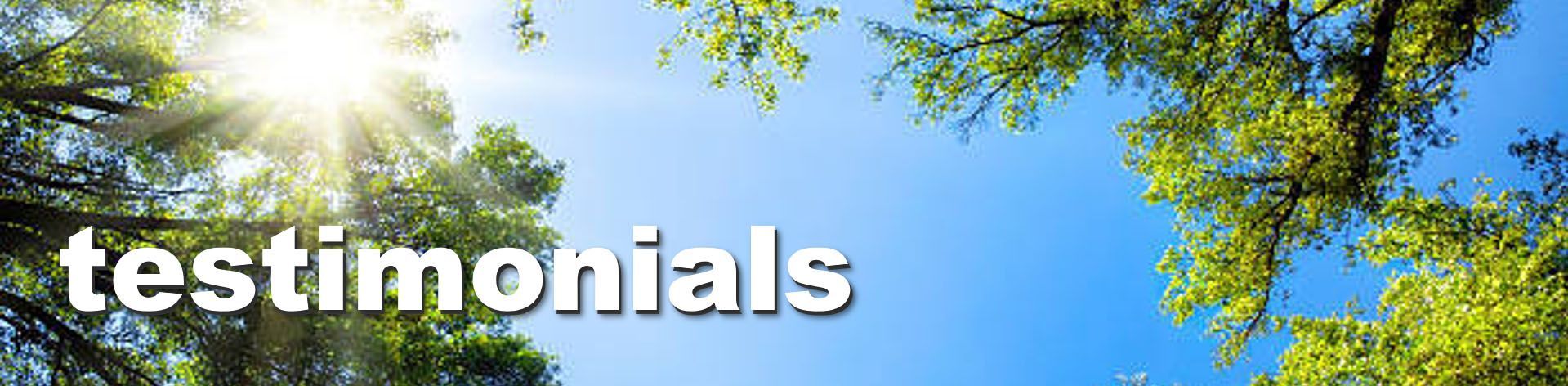 White “testimonials” text over a sunny blue-sky background with tree branches and leaves