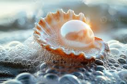 Pearl in an open orange shell resting on white sea foam, softly lit by the ocean breeze