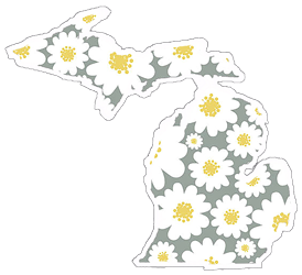 Daisies in Michigan