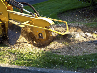 Stump Grinding — Ottumwa, Iowa — Parker Tree Service Stump Grinding — Ottumwa, Iowa — Parker Tree Service
