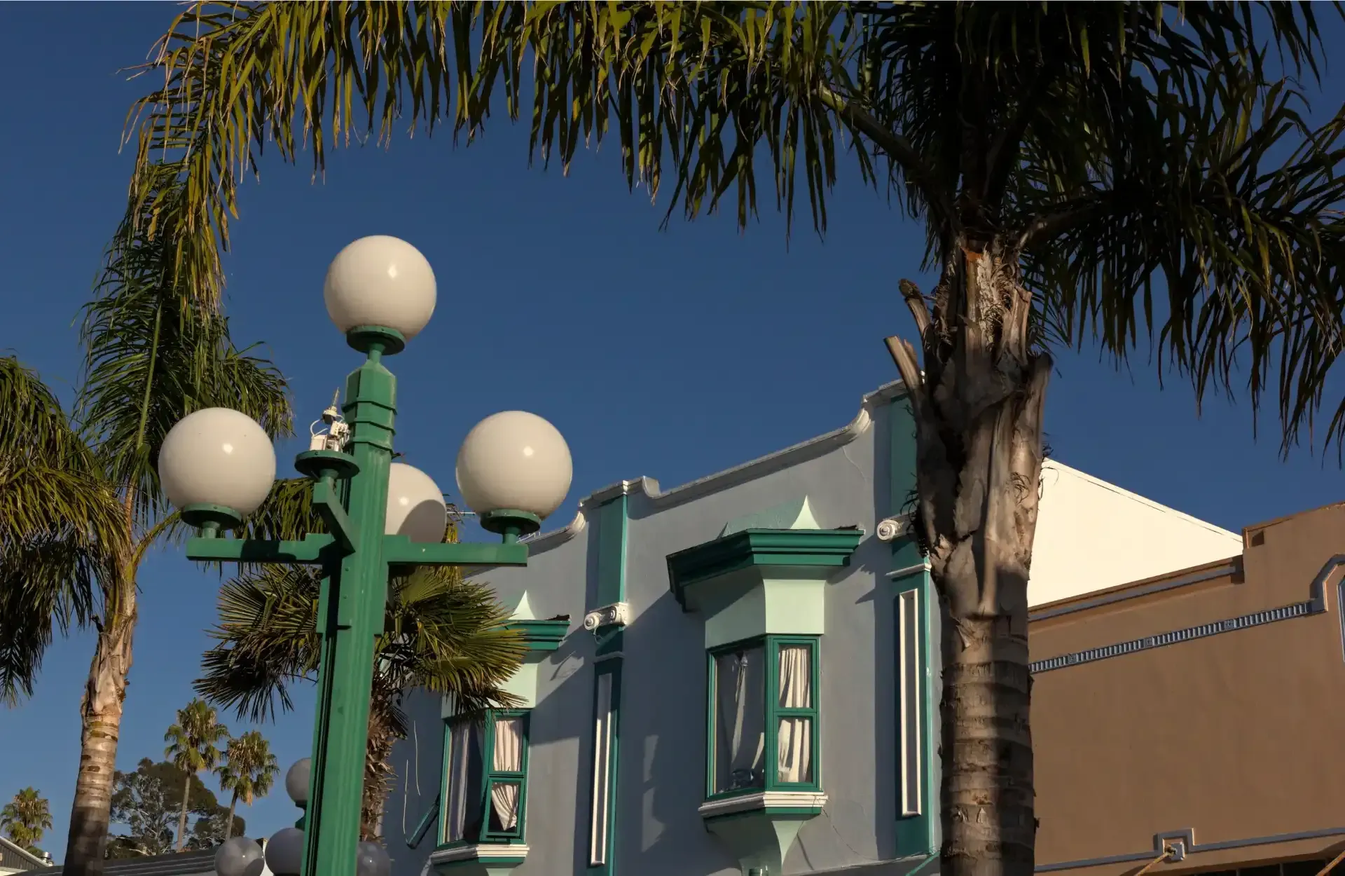 Dalton Street Napier CBD, where Napier lawyers for buying a house, Legal Matters, are based.