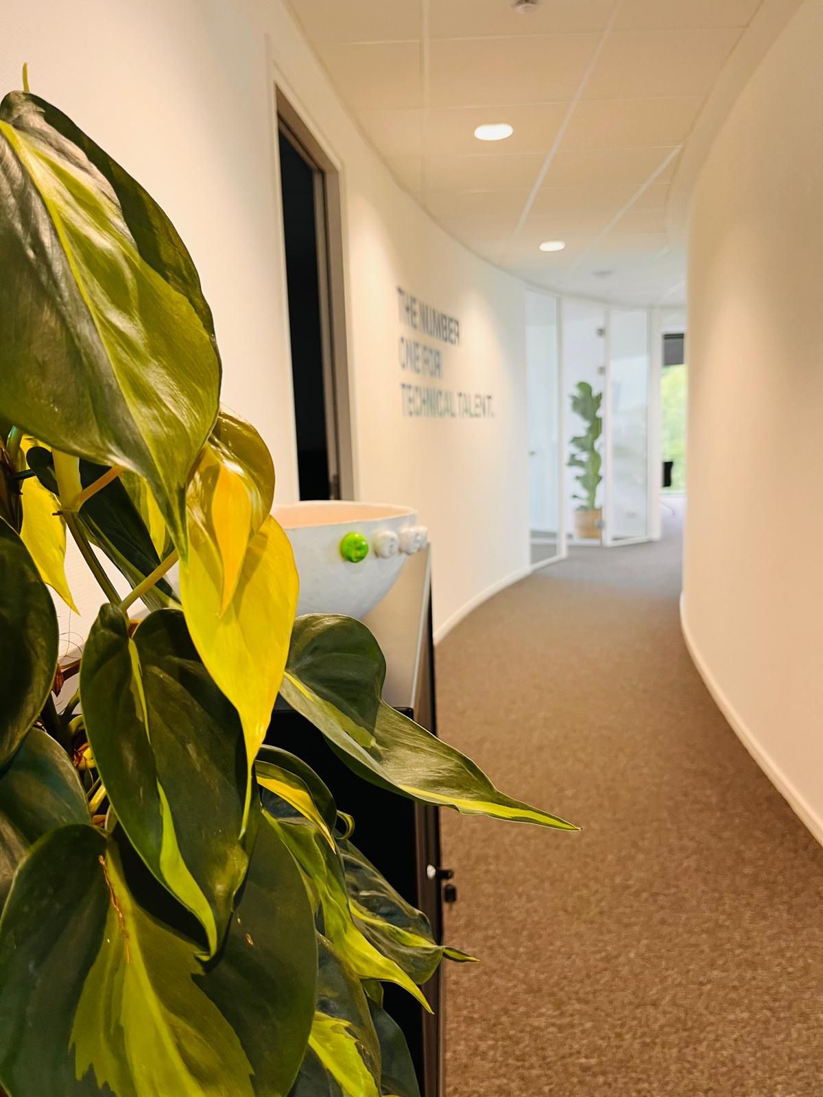 Hallway with curved wall, plant in foreground, text on glass: 