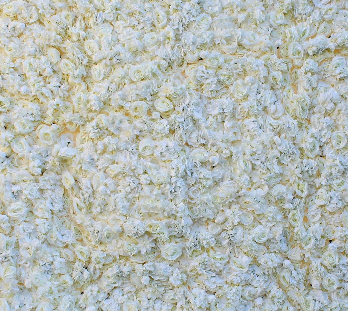 white rose flower wall