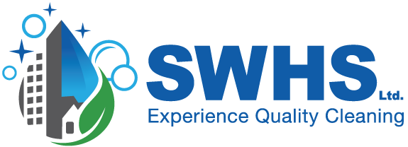 spring cleaning logo