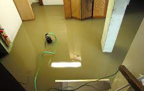 A flooded basement with stairs and a green hose.