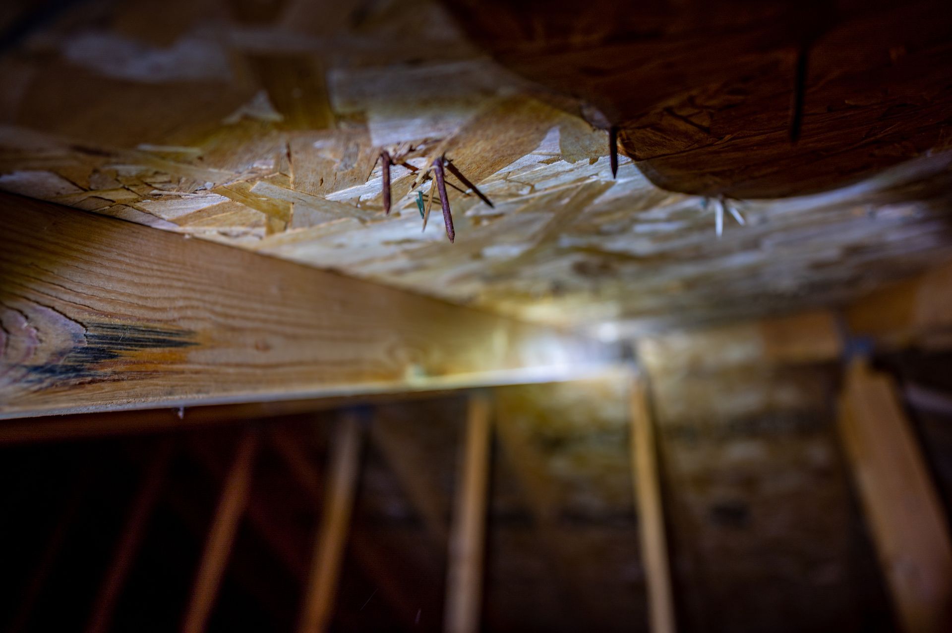 basement restoration services