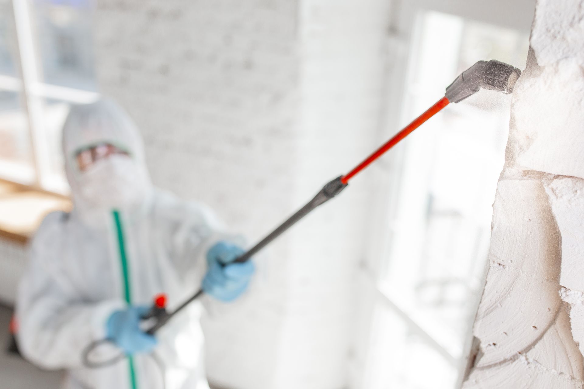 mold remediation services Brattleboro, VT 
