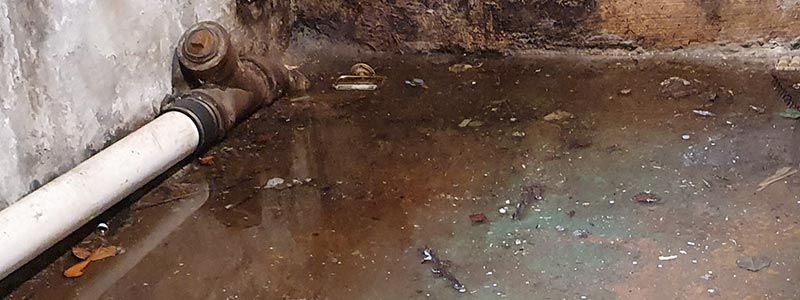 sewage cleanup restoration services Brattleboro, VT