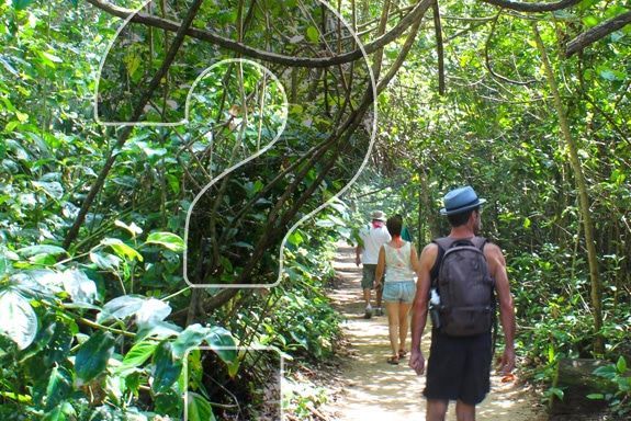 A group of people are walking down a path in the woods.